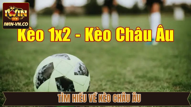 Giới thiệu thông tin cơ bản về kèo 1X2 