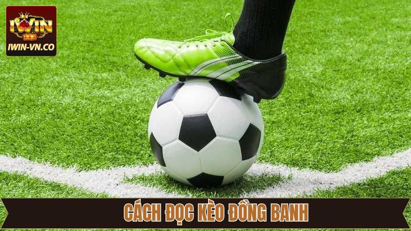 Đọc kèo siêu đơn giản dành cho người mới