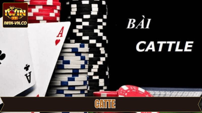 Catte - Hướng Dẫn Luật Chơi Cơ Bản Cho Hội Viên Iwin