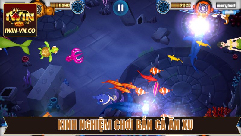 Bí quyết săn cá ăn xu chuẩn xác dành cho hội viên