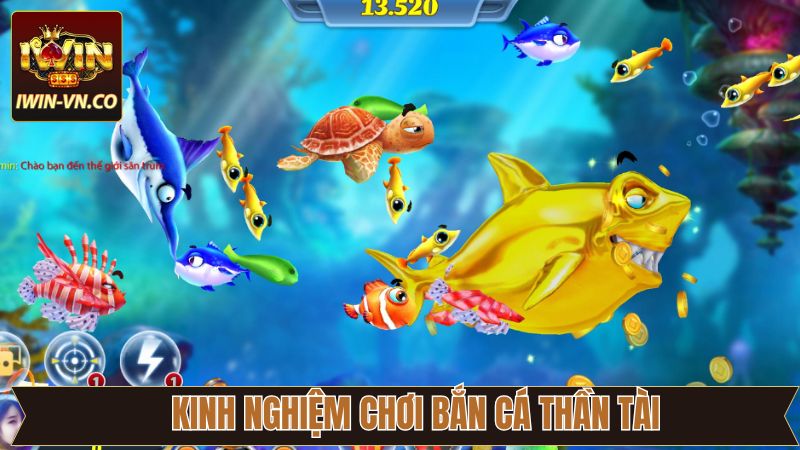 Tổng hợp mẹo chơi hiệu quả trong săn cá Thần Tài