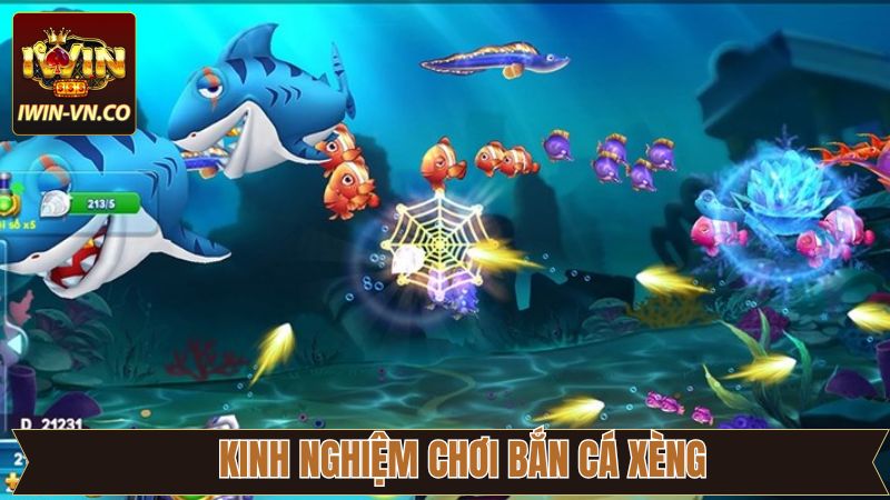 Bắn Cá Xèng IWin - Thách Thức Biển Cả, Săn Thưởng Mỗi Ngày! 4 Chiến thuật chơi săn cá xèng bất bại thắng lớn