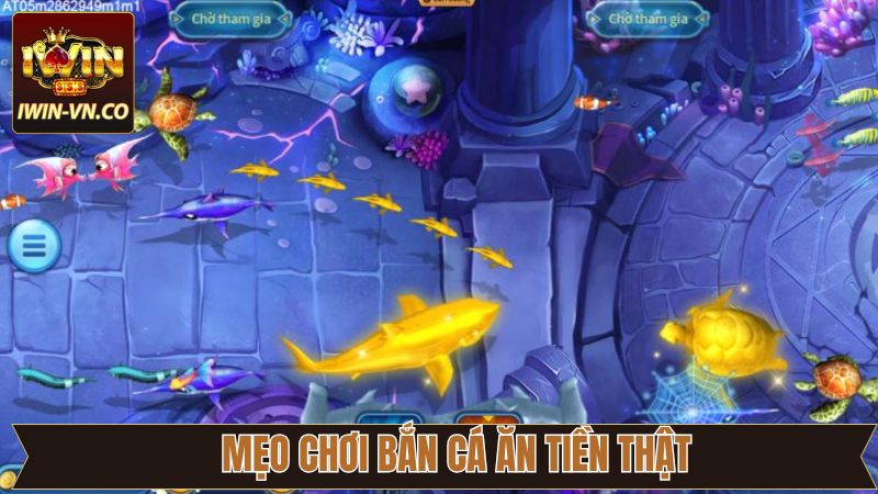 Những thủ thuật cơ bản để săn cá kiếm tiền nhanh chóng