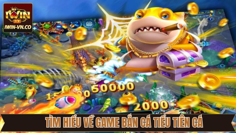 Tìm hiểu về săn cá tiểu tiên cá