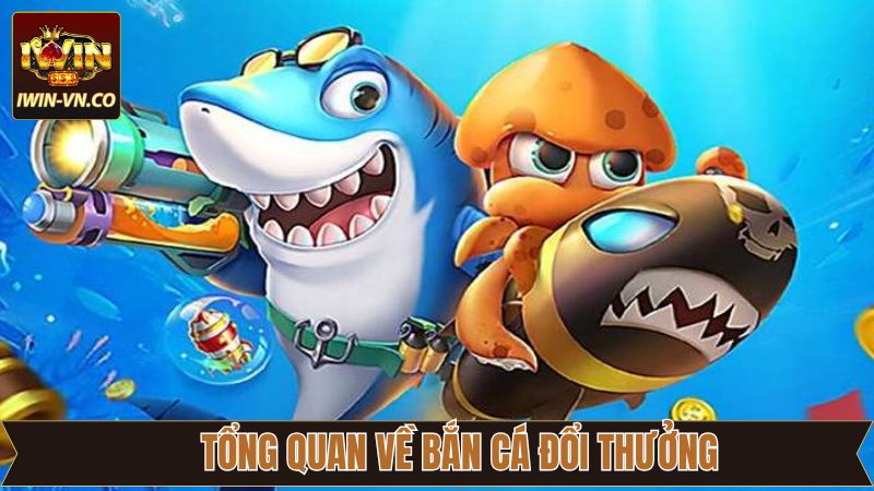 Thông tin cơ bản trong trò săn cá đổi thưởng